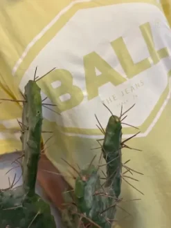 Ball Gul Banoemi T-Shirt