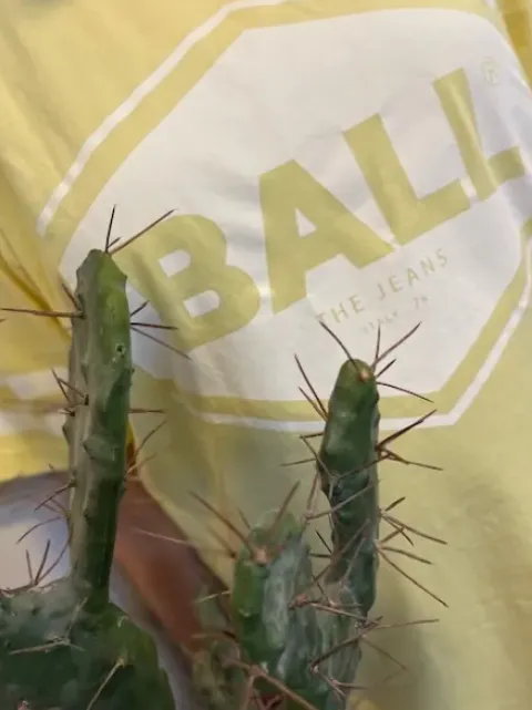 Ball Gul Banoemi T-Shirt