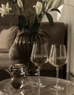 Specktrum White Wine Klar Glas
